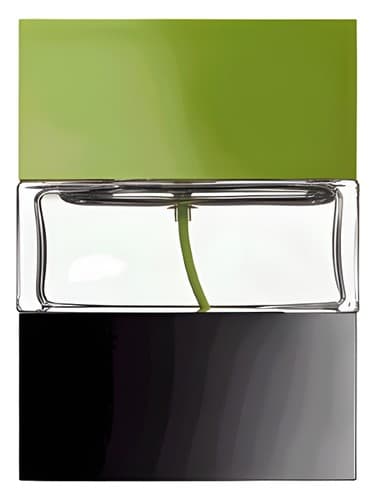 Creations Greenify 
