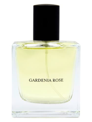 Gardenia Rose - رز گاردنیا
