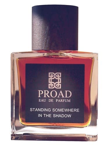 Standing Somewhere In The Shadow