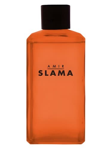 Amir Slama Raiz
