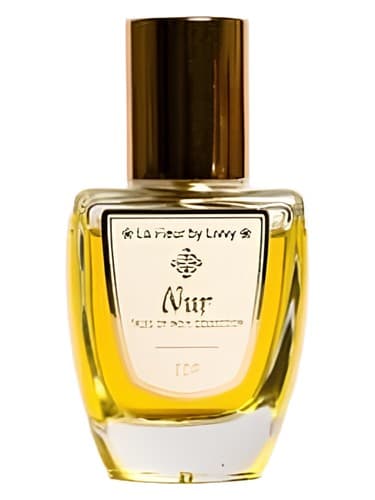 Nur - نور