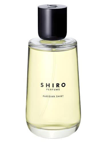 Parisian Shirt - پیراهن پاریسی