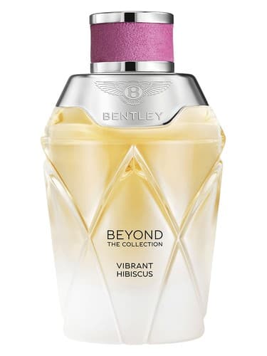 Vibrant Hibiscus - هیبیسکوس پر جنب و جوش