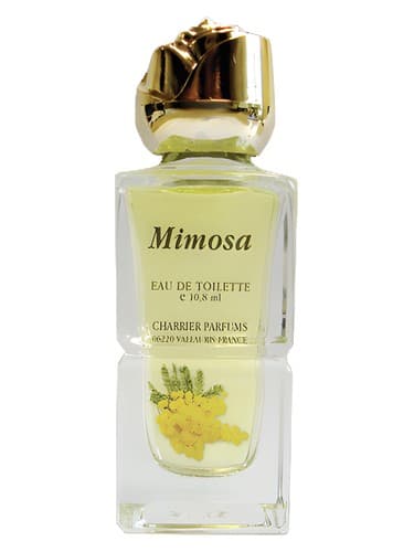 Mimosa