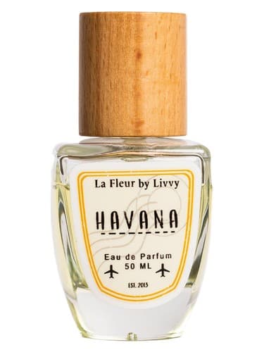 Havana - هاوانا