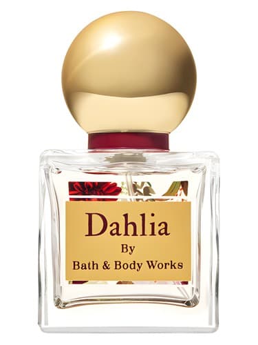 Dahlia - دالیا
