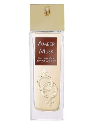 Amber Musk - عنبر ماسک