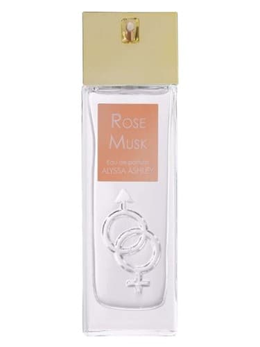 Rose Musk - رز مشک