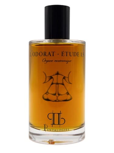 Etude 1.5: L’Odorat - اتود 1.5: L’Odorat