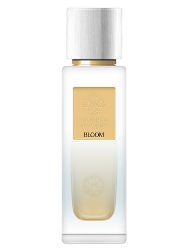 Bloom - بلوم