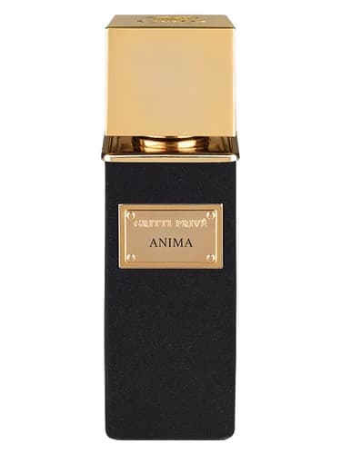 Anima - آنیما
