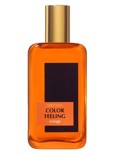 Color Feeling Orange - کالر فیلینگ اورنج
