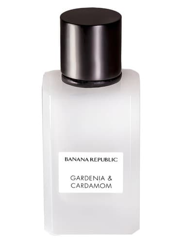 Gardenia & Cardamom - گاردنیا اند کارداموم