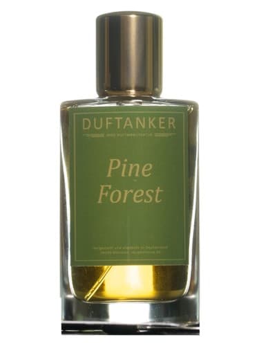 Pine Forest - جنگل کاج