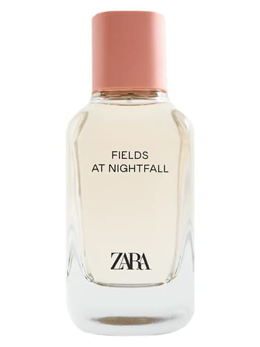 Fields at Nightfall 2020