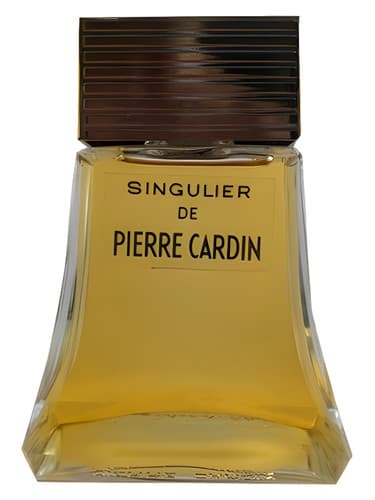 Singulier - سینگلیر