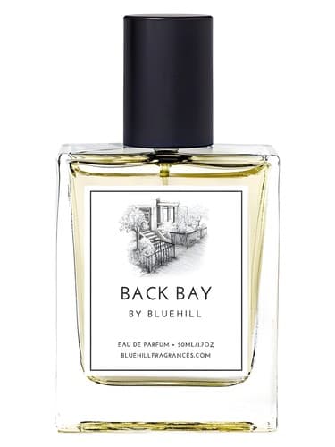 Back Bay - خلیج پشت