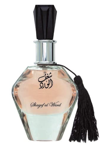 Shagaf Al Ward - شغف الورد