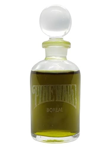 Boreal - بوریال