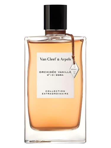 Orchidée Vanille - ارکید وانیل