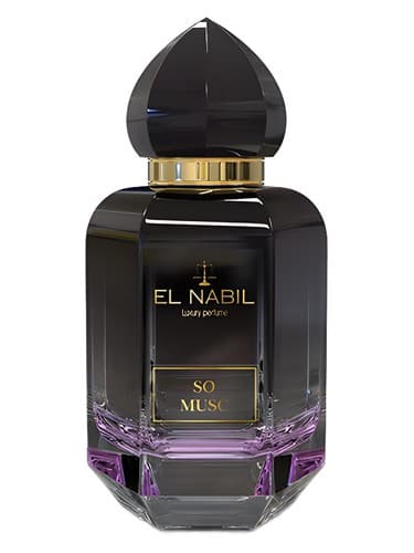 So Musk - پس ماسک