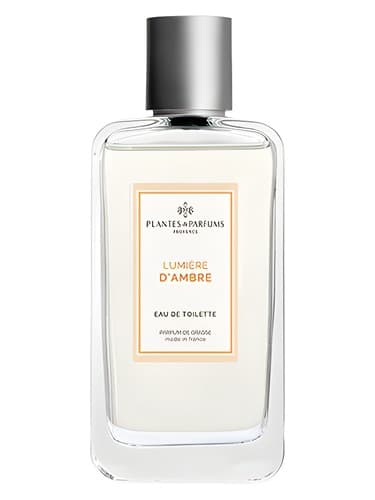 Lumière d’Ambre - لومیر دمبر