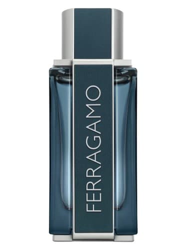 Ferragamo Intense Leather