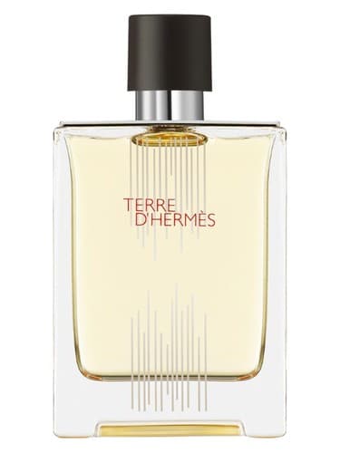 Terre d'Hermes Flacon H 2021 Eau de Toilette - تق د هرمس فلاکن اچ 2021 او دو تویلت