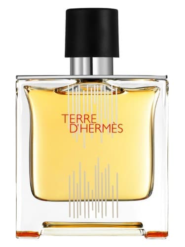 Terre d'Hermes Flacon H 2021 Parfum - تق د هرمس فلاکن اچ 2021 پارفوم
