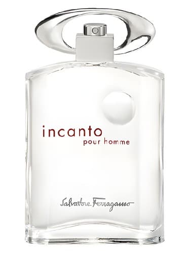 Incanto Pour Homme - اینکانتو پور هوم