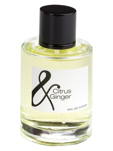 Citrus & Ginger - مرکبات و زنجبیل