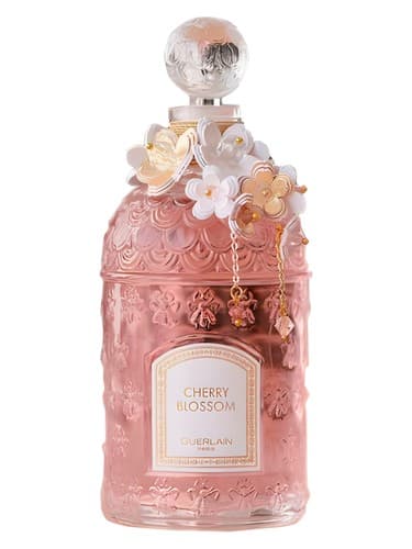 Cherry Blossom 2021 Millésime - چری بلوسوم 2021 میلسیم