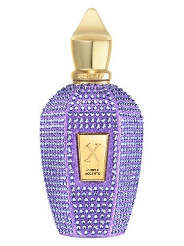 Purple Accento Crystal Edition - پرپل آچنتو کریستال ادیشن