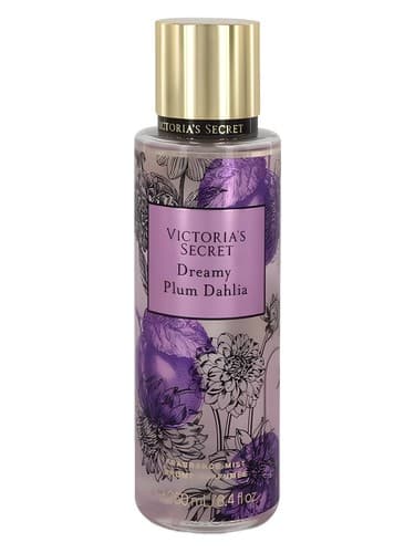 Dreamy Plum Dahlia