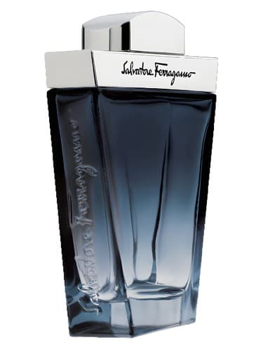 Salvatore Ferragamo Subtil Pour Homme - سالواتوره فراگامو سابتیل پور هوم