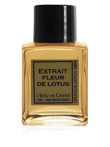 Fleur De Lotus