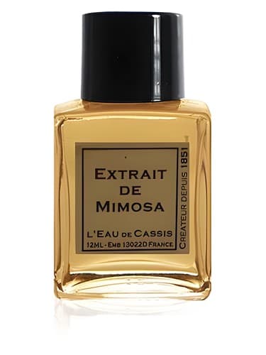 Mimosa - میموزا