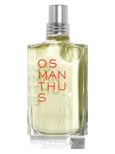 Osmanthus - اسمانتوس