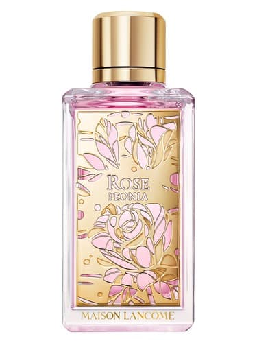 Rose Peonia - رز پیونیا