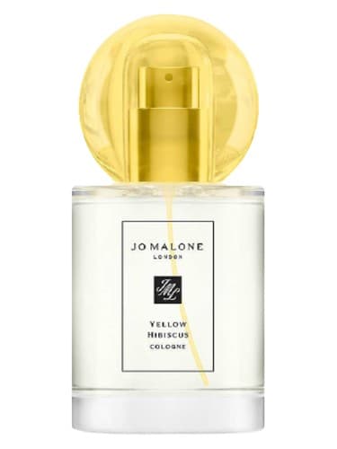 Yellow Hibiscus - یلو هیبیسکوس