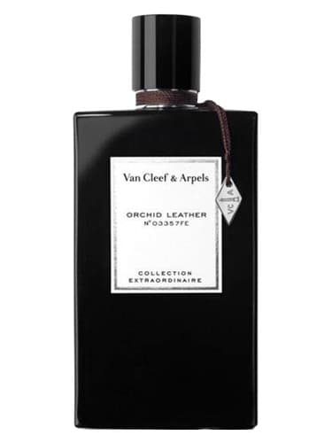 Orchid Leather - ارکید لدر