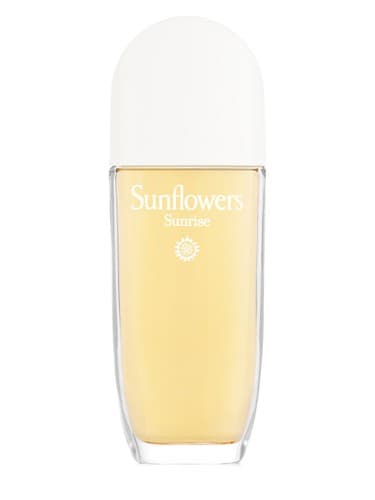 Sunflowers Sunrise - سان فلاورز سانرایز