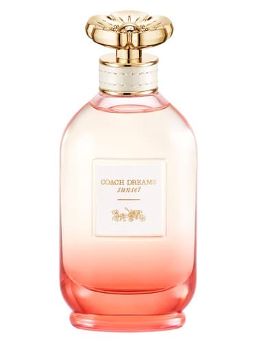 Coach Dreams Sunset - کوچ دریمز سانست