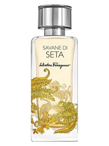 Savane di Seta - ساوانه دی ستا