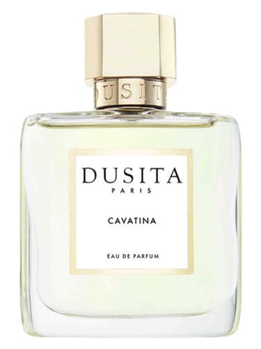 Cavatina