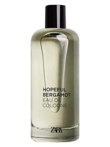 Hopeful Bergamot