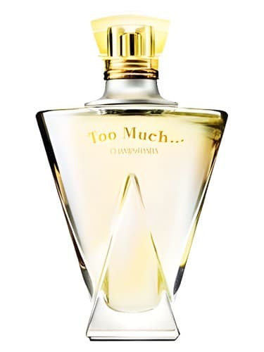 Too Much - تو ماچ