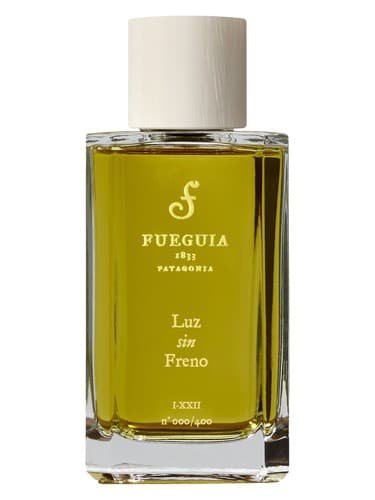 Luz Sin Freno - لوز سین فرنو