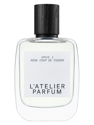 Rose Coup De Foudre