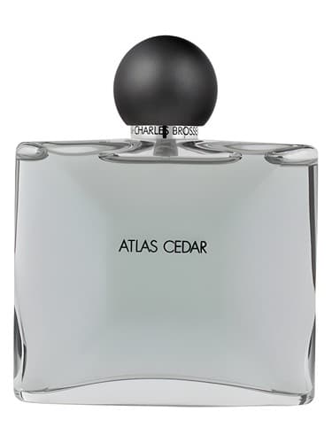 Collection Homme/Atlas Cedar - مجموعه هوم/سدر اطلس